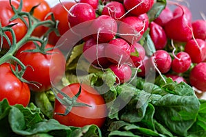 Čerstvý složení zdravý salát ředkev a rajčata zelený salát 